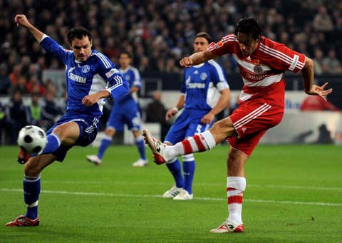 P级选手仅 P级选手仅